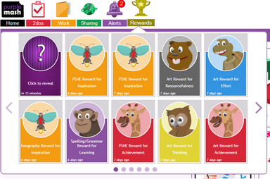 Rewards summary 2019